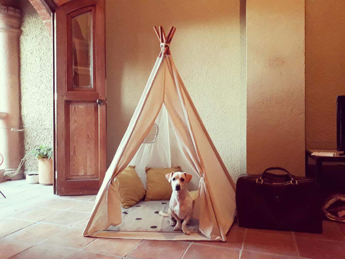 Lool Beh Hostal San Miguel de Allende Esterno foto